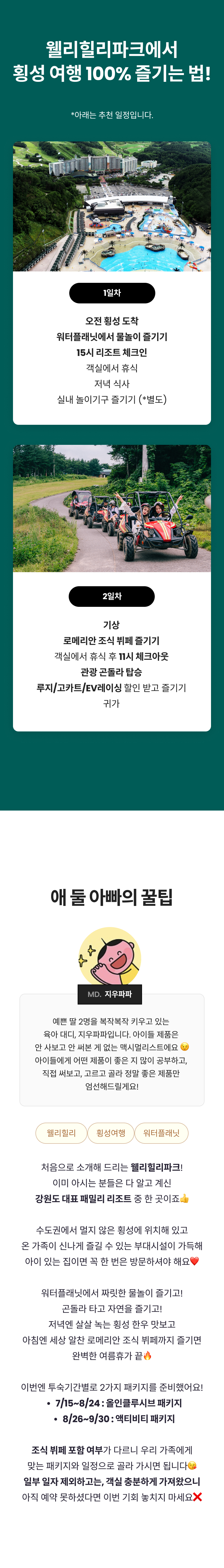 웰리힐리 9